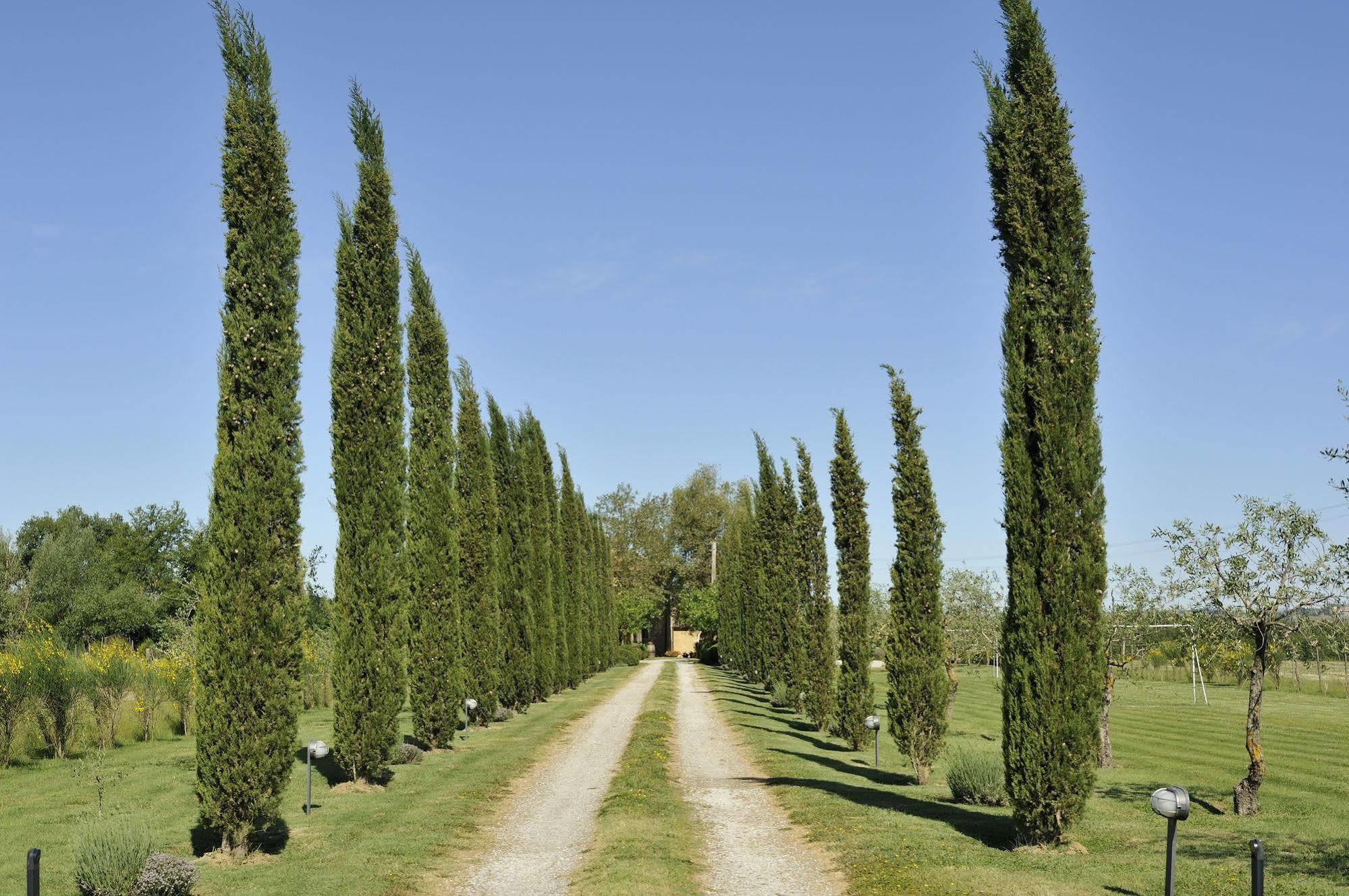 Agriturismo La Lodola Castelnuovo Berardenga Exterior photo